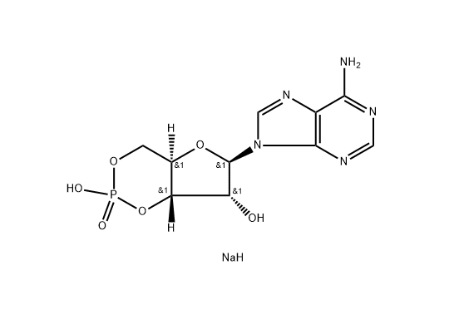 Adenosine 3',5'-cyclic monopho...