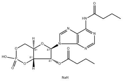 Bucladesine sodium 16980-89-5
